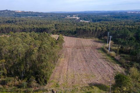 Tomt i Foz do Arelho, Leiria, Foz do Arelho - € 150 000 | Ref: KWPT-007618 - foto 6