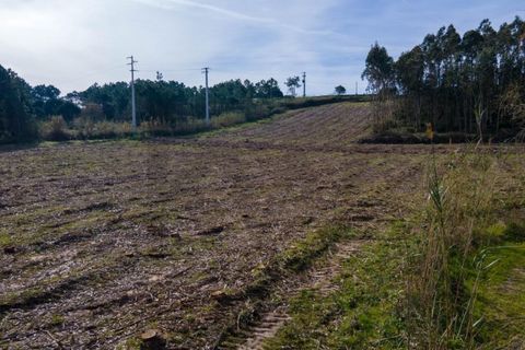 Tomt i Foz do Arelho, Leiria, Foz do Arelho - € 150 000 | Ref: KWPT-007618 - foto 10