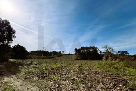 Tomt i Foz do Arelho, Leiria, Foz do Arelho - € 150 000 | Ref: KWPT-007618 - foto 11