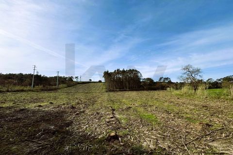 Tomt i Foz do Arelho, Leiria, Foz do Arelho - € 150 000 | Ref: KWPT-007618 - foto 12