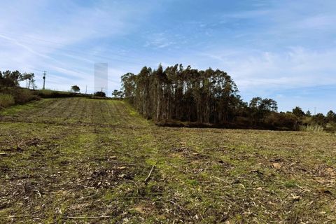 Tomt i Foz do Arelho, Leiria, Foz do Arelho - € 150 000 | Ref: KWPT-007618 - foto 13