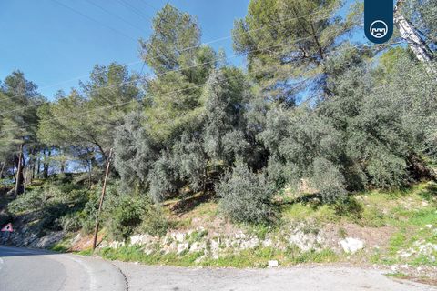 Helårsgrund i Nice, Alpes-Maritimes, Nice - € 160.000 | Ref: 0583 - foto 4