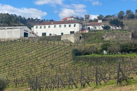 Byhus i Peso da Regua, Vila Real, Peso da Regua - € 810.000 | Ref: 137900 - foto 3