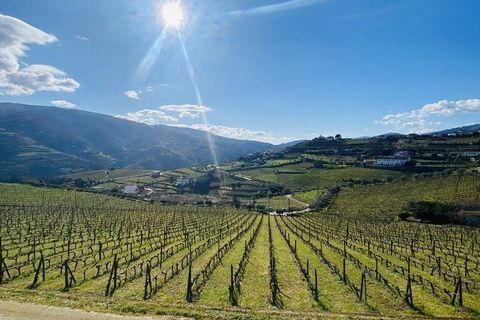 Byhus i Peso da Regua, Vila Real, Peso da Regua - € 810.000 | Ref: 137900 - foto 5