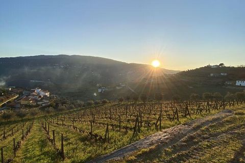 Byhus i Peso da Regua, Vila Real, Peso da Regua - € 810.000 | Ref: 137900 - foto 6