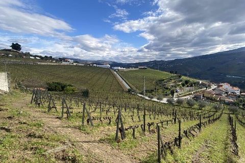 Byhus i Peso da Regua, Vila Real, Peso da Regua - € 810.000 | Ref: 137900 - foto 7