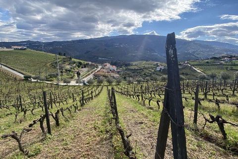 Byhus i Peso da Regua, Vila Real, Peso da Regua - € 810.000 | Ref: 137900 - foto 8
