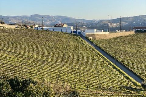 Byhus i Peso da Regua, Vila Real, Peso da Regua - € 810.000 | Ref: 137900 - foto 10