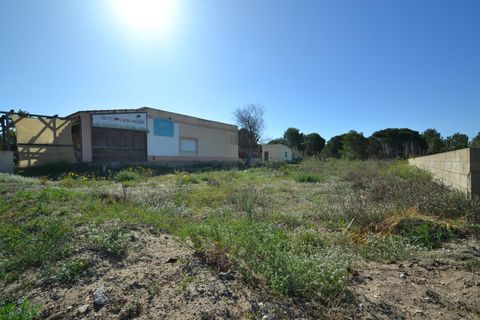 Terra a Deltebre, Tarragona, Deltebre - € 75.000 | Ref: FZR20/6931 - foto 2