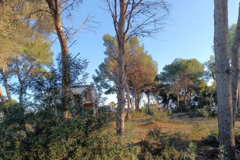 Terra a Moraira, Alicante, Moraira - € 1.700.000 | Ref: CRES90 - foto 3