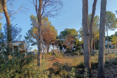 Terra a Moraira, Alicante, Moraira - € 1.700.000 | Ref: CRES90 - foto 7