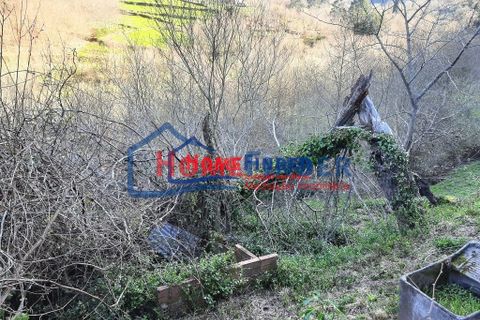 Villa i Melgaco, Viana do Castelo, Melgaco - € 42.000 | Ref: 33830009 - foto 32