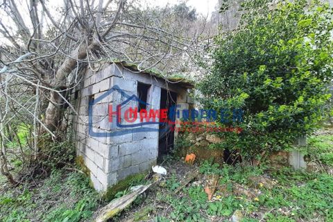 Villa i Melgaco, Viana do Castelo, Melgaco - € 42.000 | Ref: 33830009 - foto 34