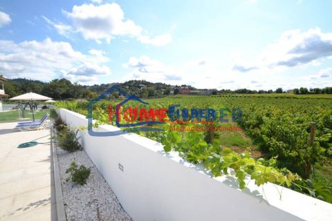 Villa a Braga, Braga, Braga - € 2.500/mes | Ref: 3401191 - foto 44