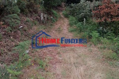 Helårsgrund i Moncao, Viana do Castelo, Moncao - € 32.000 | Ref: 33240005A - foto 23