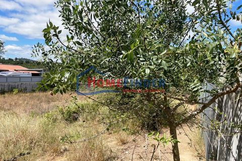 Helårsgrund i Abrantes, Santarem, Abrantes - € 30.000 | Ref: 33012775 - foto 5