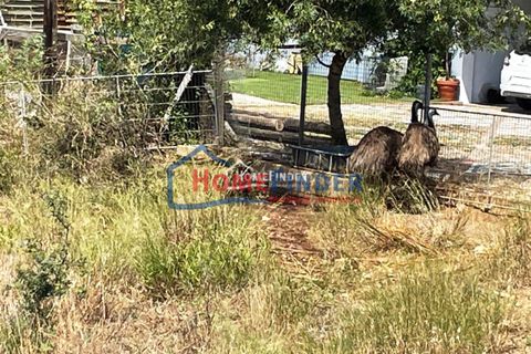 Helårsgrund i Abrantes, Santarem, Abrantes - € 30.000 | Ref: 33012775 - foto 11