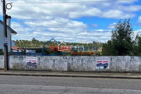Helårsgrund i Abrantes, Santarem, Abrantes - € 30.000 | Ref: 33012775 - foto 20