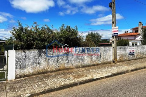 Helårsgrund i Abrantes, Santarem, Abrantes - € 30.000 | Ref: 33012775 - foto 26