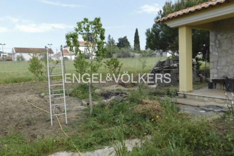Villa a Belmonte, Castelo Branco, Belmonte - € 475.000 | Ref: W-02XYS6 - foto 30