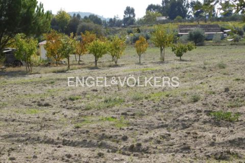 Villa a Belmonte, Castelo Branco, Belmonte - € 475.000 | Ref: W-02XYS6 - foto 35