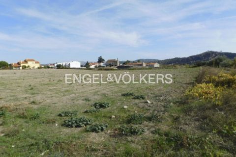 Villa a Belmonte, Castelo Branco, Belmonte - € 475.000 | Ref: W-02XYS6 - foto 36