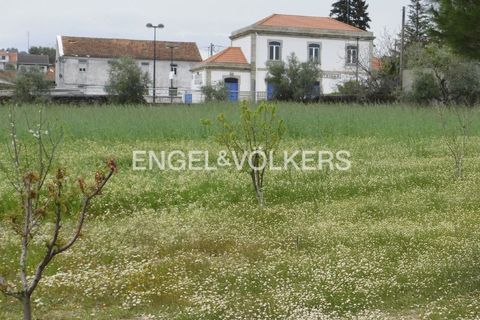 Villa a Belmonte, Castelo Branco, Belmonte - € 475.000 | Ref: W-02XYS6 - foto 37