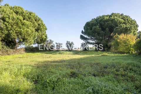 Helårsgrund i Palmela, Setubal, Palmela - € 350.000 | Ref: W-02Y1HF - foto 6