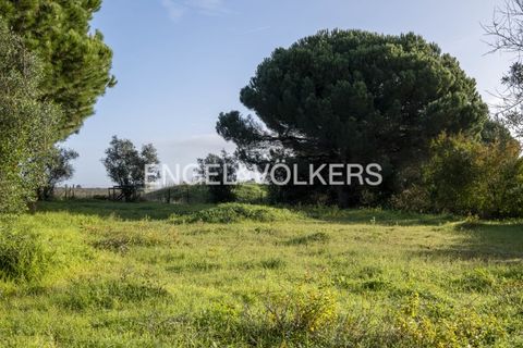 Helårsgrund i Palmela, Setubal, Palmela - € 350.000 | Ref: W-02Y1HF - foto 8