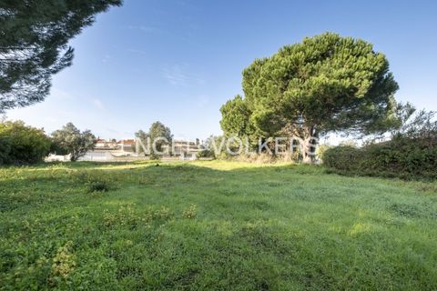Helårsgrund i Palmela, Setubal, Palmela - € 350.000 | Ref: W-02Y1HF - foto 9
