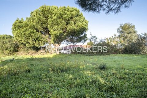 Helårsgrund i Palmela, Setubal, Palmela - € 350.000 | Ref: W-02Y1HF - foto 10
