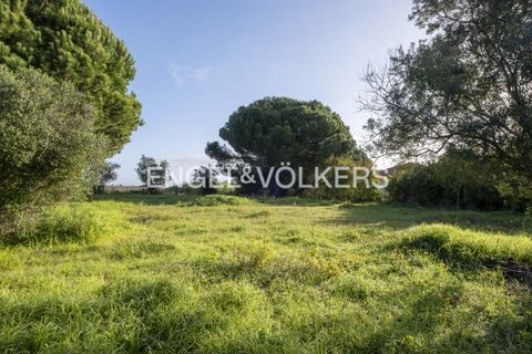 Helårsgrund i Palmela, Setubal, Palmela - € 350.000 | Ref: W-02Y1HF - foto 11