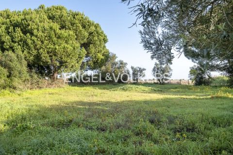 Helårsgrund i Palmela, Setubal, Palmela - € 350.000 | Ref: W-02Y1HF - foto 12