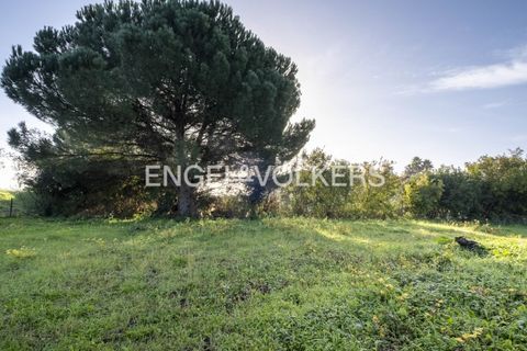 Helårsgrund i Palmela, Setubal, Palmela - € 350.000 | Ref: W-02Y1HF - foto 13