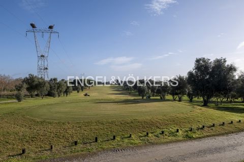Helårsgrund i Palmela, Setubal, Palmela - € 350.000 | Ref: W-02Y1HF - foto 14
