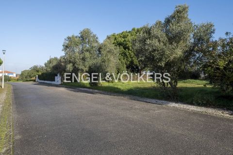 Helårsgrund i Palmela, Setubal, Palmela - € 350.000 | Ref: W-02Y1HF - foto 16