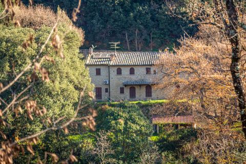 Farm hus i Volterra, Pisa, Volterra - € 490.000 | Ref: C-09-462181 - foto 25