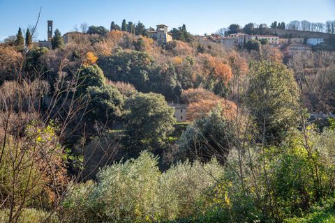 Farm hus i Volterra, Pisa, Volterra - € 490.000 | Ref: C-09-462181 - foto 26