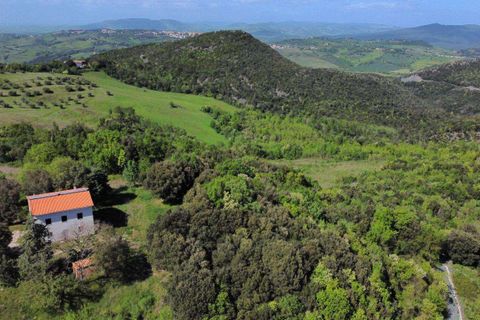 Masia a Pomarance, Pisa, Pomarance - € 260.000 | Ref: C-419-462791 - foto 5
