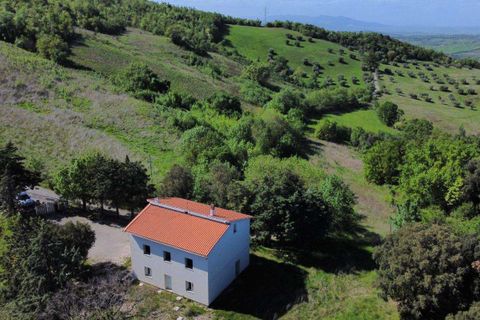 Masia a Pomarance, Pisa, Pomarance - € 260.000 | Ref: C-419-462791 - foto 7