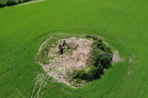 Farm hus i Lajatico, Pisa, Lajatico - € 180.000 | Ref: C-390-463964 - foto 4