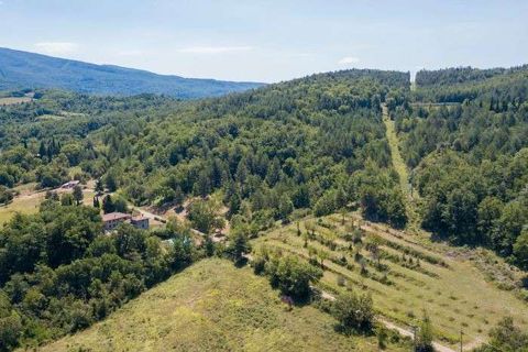 Farm hus i Bibbiena, Arezzo, Bibbiena - € 995.000 | Ref: C-325-464092 - foto 5