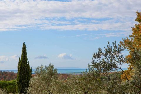 Farm hus i Guardistallo, Pisa, Guardistallo - € 990.000 | Ref: C-179-464373 - foto 5