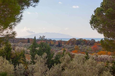 Farm hus i Guardistallo, Pisa, Guardistallo - € 990.000 | Ref: C-179-464373 - foto 6