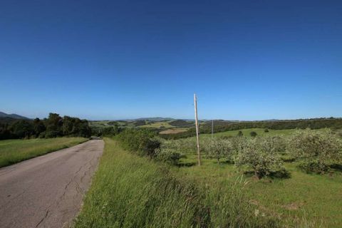 Farm hus i Pomarance, Pisa, Pomarance - € 350.000 | Ref: C-85-464404 - foto 3
