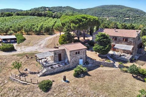 Farm hus i Suvereto, Livorno, Suvereto - € 1.980.000 | Ref: C-189-464640 - foto 2