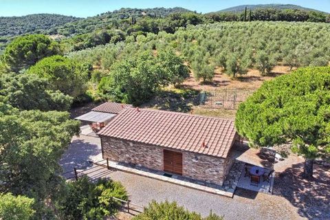 Farm hus i Suvereto, Livorno, Suvereto - € 1.980.000 | Ref: C-189-464640 - foto 7