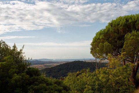 Farm hus i Suvereto, Livorno, Suvereto - € 1.980.000 | Ref: C-189-464640 - foto 9