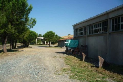 Farm hus i Volterra, Pisa, Volterra - € 1.000.000 | Ref: Az-25-464713 - foto 3