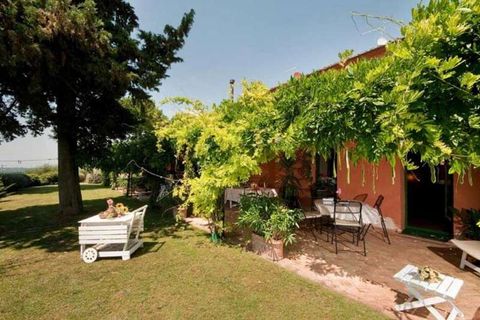 Farm hus i Peccioli, Pisa, Peccioli - € 1.350.000 | Ref: C-327-464913 - foto 3